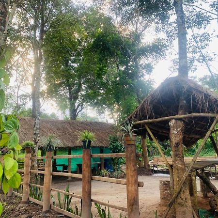 kailasa stays Chegat Bagian luar foto