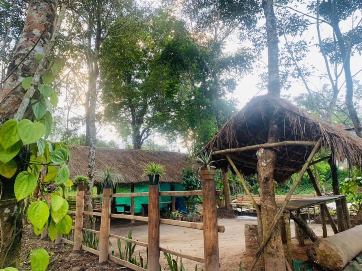 kailasa stays Chegat Bagian luar foto